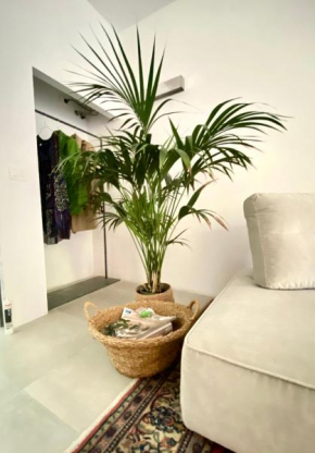 Suite con giardino Ravenna